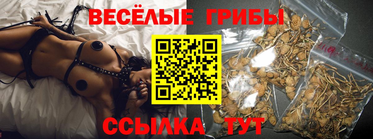 Касимов  Псилоцибиновые грибы мухоморы  Вход с VPN 
