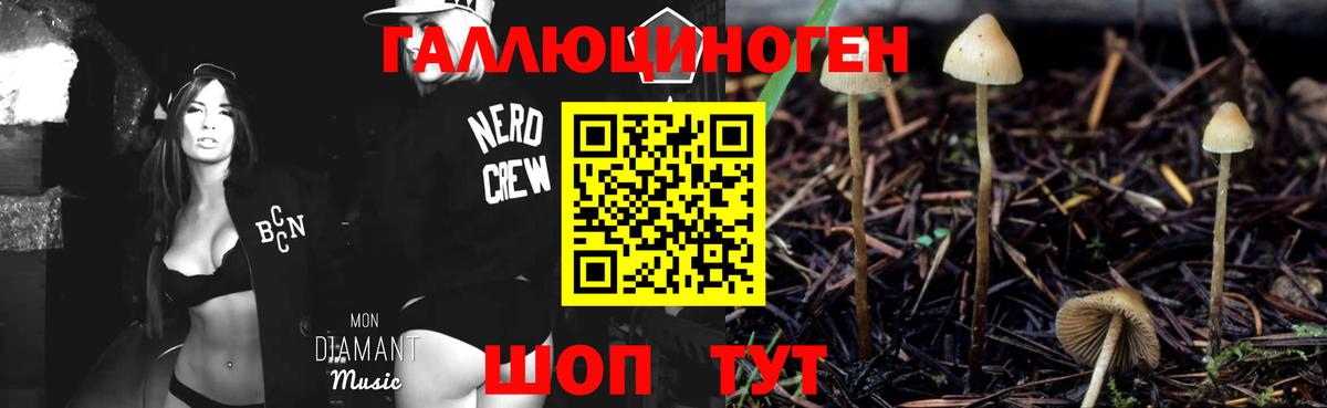 Галлюциногенные грибы GOLDEN TEACHER Касимов